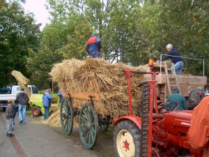 Der Dörpverein Pilsum e.V. richtet jedes das Erntedankfest aus - Bild 15: Ferienwohnung in Pilsum an der Nordsee bei Familie Smid