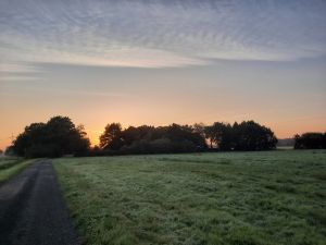 Bild 1: FeWo "Landhaus Kolbe" (Whg. 2) an der ostfriesischen Nordseeküste