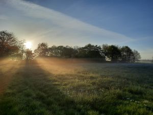 Bild 2: Ferienwohnung Kolbe an der ostfriesischen Nordseeküste