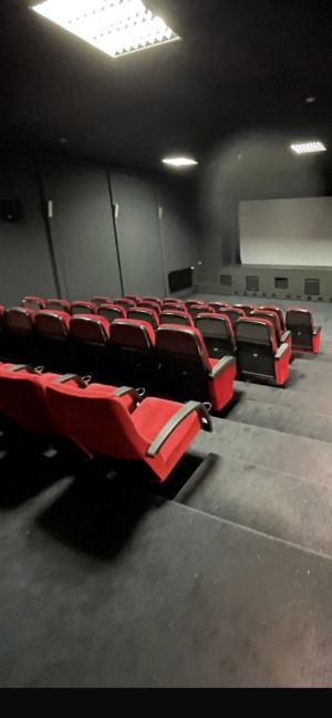 Kino Kinderfilme mit täglich wechselndem Programm - Bild 34: Nordsee / Ostfriesland strandnahes Ferienhaus 1-5 Personen (Hund erlaubt)