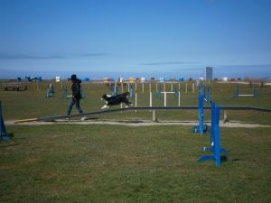 Ein schöner Dog Agility Parcours am Strand Nessmersiel - Bild 21: Nordsee / Ostfriesland strandnahes Ferienhaus 1-5 Personen (Hund erlaubt)