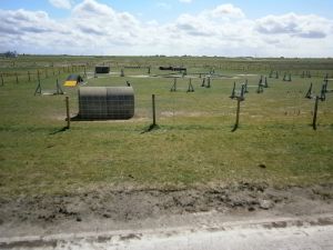 Bild 22: Nordsee / Ostfriesland strandnahes Ferienhaus 1-5 Personen (Hund erlaubt)