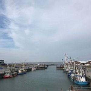 neben dem Strand gelegen und Ausgangspunk für geführte Wattwanderungen
zur Insel Baltrum. - Bild 23: Nordsee / Ostfriesland strandnahes Ferienhaus 1-5 Personen (Hund erlaubt)