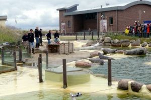 Bild 17: dasKrabbe, 2-3-4-5-6-7-8 P, Ferienhaus, Nordsee