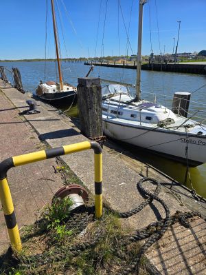 Bild 15: dasKrabbe, 2-3-4-5-6-7-8 P, Ferienhaus, Nordsee