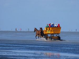 Bild 14: Meerblick Ferienwohnung Meerkieker Seesicht Fewo Cuxhaven beste Strandlage