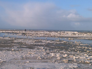 Auch im Jahr 2011 wieder eine schöne winterliche Strandlandschaft! - Bild 30: Ferienwohnung Eggesin auf der Insel Borkum