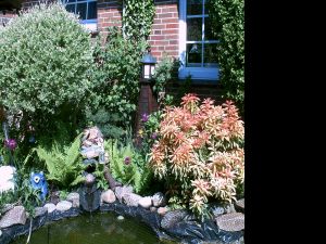 Hier schauen Sie direkt auf unseren neu angelegten Gartenteich, wo sich zahlreiche Goldfische tummeln. - Bild 10: Ferienwohnung Eggesin auf der Insel Borkum