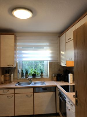 Bild 9: Ferienhaus Porten Nordsee- Küste, eingezäunter Garten, Urlaub mit Hunden