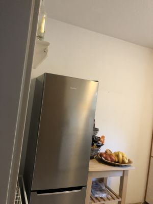 Bild 10: Ferienhaus Porten Nordsee- Küste, eingezäunter Garten, Urlaub mit Hunden