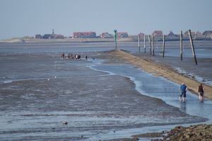 Bild 20: Ferienhaus Porten Nordsee- Küste, eingezäunter Garten, Urlaub mit Hunden