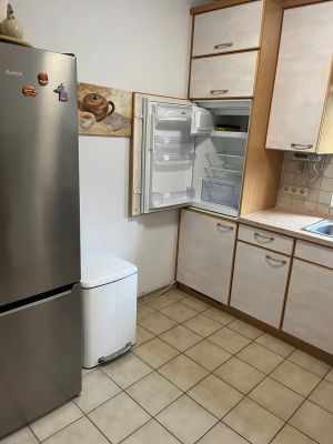 Bild 9: Ferienhaus Porten Nordsee- Küste, eingezäunter Garten, Urlaub mit Hunden