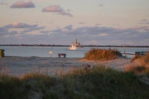Bild 15: Ferienhaus Porten Nordsee- Küste, eingezäunter Garten, Urlaub mit Hunden