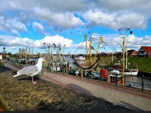 Bild 8: Schicke Fewo an der südlichen Nordseeküste-Ostfriesland
