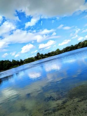 Kurpark mit See in 1,5 km Entfernung - Bild 6: Schicke Fewo an der südlichen Nordseeküste-Ostfriesland