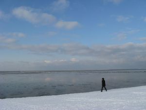 Bild 48: Schicke Fewo an der südlichen Nordseeküste-Ostfriesland