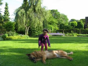Bild 46: Schicke Fewo an der südlichen Nordseeküste-Ostfriesland