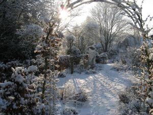 Bild 52: Schicke Fewo an der südlichen Nordseeküste-Ostfriesland