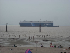 Am Strand des Rysumer Nacken tummeln sich Urlauber - Bild 19: Ferienwohnung Mühlenblick in Rysum bei Greetsiel