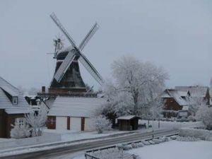 Bild 20: Süderhus - Süderhafen auf Nordstrand, Weltnaturerbe Wattenmeer, Nordsee