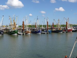 Bild 22: Norddeich EG-Ferienwohnung bis 3 Personen und Hund WLAN strandnah