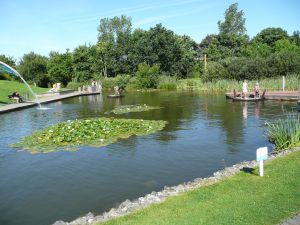 Bild 21: Norddeich EG-Ferienwohnung bis 3 Personen und Hund WLAN strandnah