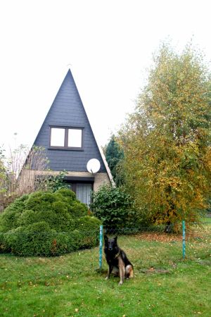 Bild 2: Haus Heidemarie mit eingezäunten Garten, Nordseeküste für Urlaub mit Hund