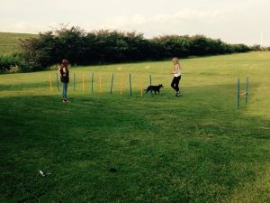 Bild 11: Ferienhaus mit Wohnung im Dachgeschoss - Reet-Dach-Haus f. 4 Personen