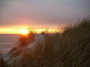 Bild 13: Ferienhaus in Lökken/Furreby