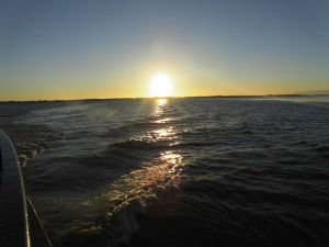 Bild 1: Nordsee-Ferienwohnung Struckum auch mit Hund