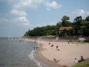 Auch ein schöner Hundestrand ist vorhanden. - Bild 8: Ferienhaus Seeblick im Nordsee-Bad Dangast direkt beim Strand mit Hund