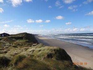 Bild 15: Ferienhaus in Rødhus-Strand / Nordjütland