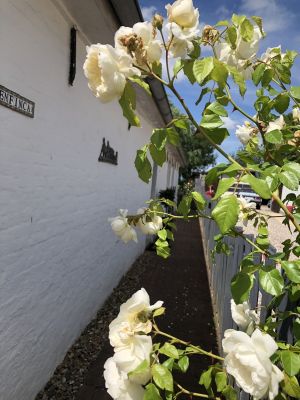 Tetenbuell City - Bild 19: Hus Everschop - Friesenfinca im alten Ortskern von Tetenbüll - nahe SPO