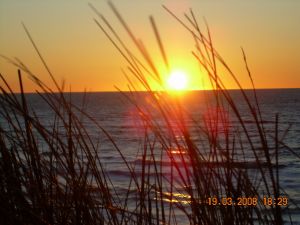 Bild 12: Ferienhaus aus Holz in Blokhus-Hune