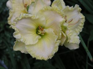 Bild 19: Villa am Alten Deich- komfortable Ferienwohnung in Butjadingen/Nordsee