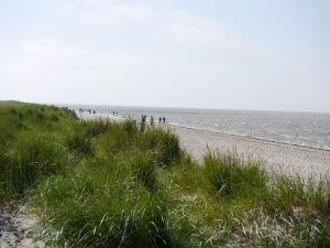 Der weitläufige Strand und die Dünenlandschaft laden zum Erholen und Entspannen ein - Bild 8: Nordseeküste-Schillig, Appartmenthaus-Boje Wohnung 15