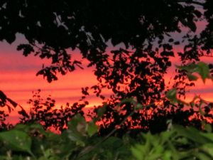 Sonnenuntergang am NOK - Bild 14: Ferienwohnung am NOK