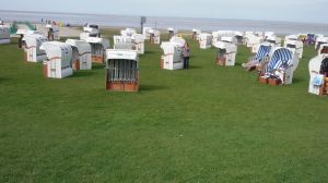 Badestrand mit Strandkörben in Norddeich - Bild 8: Ferienwohnung EG-Deichmuschel I, Norddeich strandnahe Fewo mit Hund