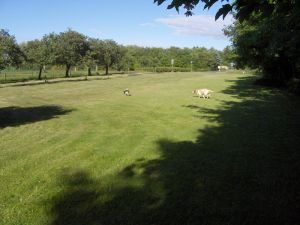 Bild 17: Ländliche Fewo nahe der Nordsee, ideal für Umgebungsausflüge