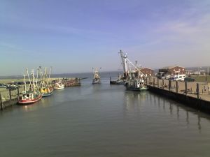 Bild 23: Nordsee Ferienhaus Dornumersiel strandnah - Hund willkommen - WLAN