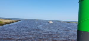 Bild 21: Nordsee Ferienhaus Dornumersiel strandnah - Hund willkommen - WLAN