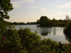 Der Kiessee liegt in unmittelbarer Nähe zum Ferienhaus. - Bild 9: Ferienhaus "Friederike" an der Nordseeküste - ebenerdig - Hunde erlaubt