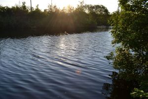 Blick auf den Bahnkolk gegenüber dem Haus - Bild 23: Ferienwohnung Bahnkolk I in Norddeich