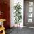 Galeriebild 2