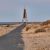 Galeriebild 1