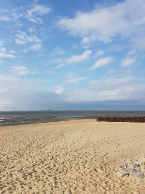 Bild 25: Fewo Cux-Duhnen "Duhner-Meeresbrise" H311 Hohe Worth