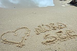 Bild 13: Wangerland: Zum alten Friesen Fewo OKKO, max. 5 Gäste, Hunde willkommen!