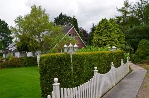 Bild 3: Wangerland: Zum alten Friesen Fewo OKKO, max. 5 Gäste, Hunde willkommen!