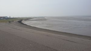 Bild 9: Ferienwohnung OG-Deichmuschel II, Norddeich strandnahe Fewo mit Hund