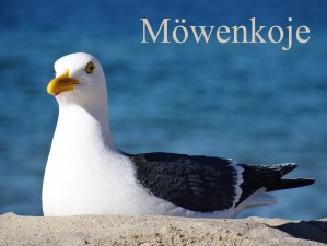 Bild: FeWo Möwenkoje Strandlage Cuxhaven Duhnen, Kinder willkommen, WLAN